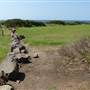 Shellharbour - The Shallows Coastal Reserve