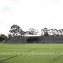 Janise Crosio Field