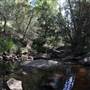 Georges River Nature Reserve