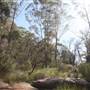 Georges River Nature Reserve