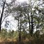 Georges River Nature Reserve