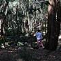 Tennyson Park