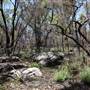 Ted Horwood Reserve