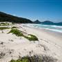 Fingal Spit