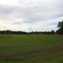 Janice Crosio Oval