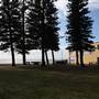 Collaroy Surf Life Saving Club