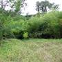 Brownlow Hill - File 2