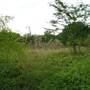 Brownlow Hill - File 2