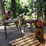 Private Properties - Bamboo, Jungle, Exotic, Forest