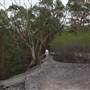 Bradley Reserve