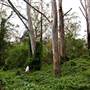 Bradley Reserve