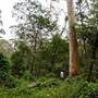 Bradley Reserve