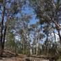 O'Hares Creek
