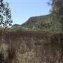 Bushland Creek