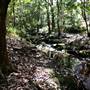 Warraroon Reserve