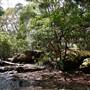 Warraroon Reserve