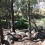 Coxs River - Glenroy Cabins and Camp Ground