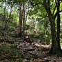 Flatrock Gully