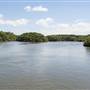 Georges River