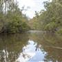 Georges River