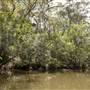 Georges River