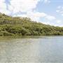 Georges River