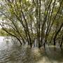 Georges River