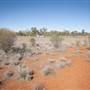 Bourke