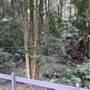 Private Horse Farm - Otford