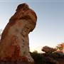 Broken Hill Sculptures Site and Living Desert
