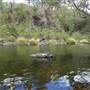 Clarence River Wilderness Lodge