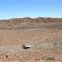 Broken Hill Sculptures Site and Living Desert