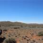 Broken Hill Sculptures Site and Living Desert