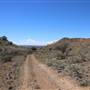Broken Hill Sculptures Site and Living Desert