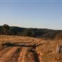 Hopeful Ranch Olive Farm File 1