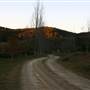Hopeful Ranch Olive Farm File 1