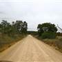Hopeful Ranch Olive Farm File 5 Roads