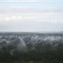 Bundjalung National Park