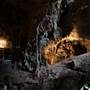 Jenolan Caves