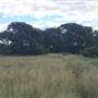 Centennial Park