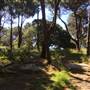 Centennial Park