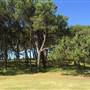 Centennial Park