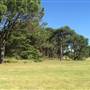 Centennial Park