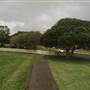 Centennial Park