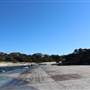 Clovelly Beach