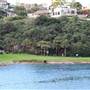 The Spit Bridge & Reserve