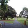 The Domain - Royal Botanic Garden Sydney