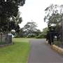 Bennelong Lawn - Royal Botanic Garden Sydney