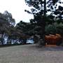 Mrs. Macquarie's Point - Royal Botanic Garden Sydney