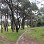 Centennial Park - Ash Paddock